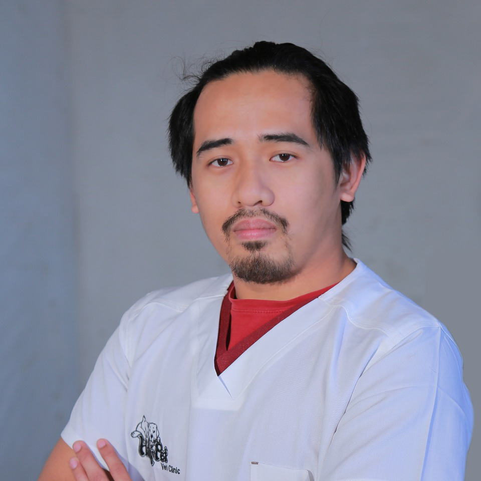 Dr. Sherwin J. Chua